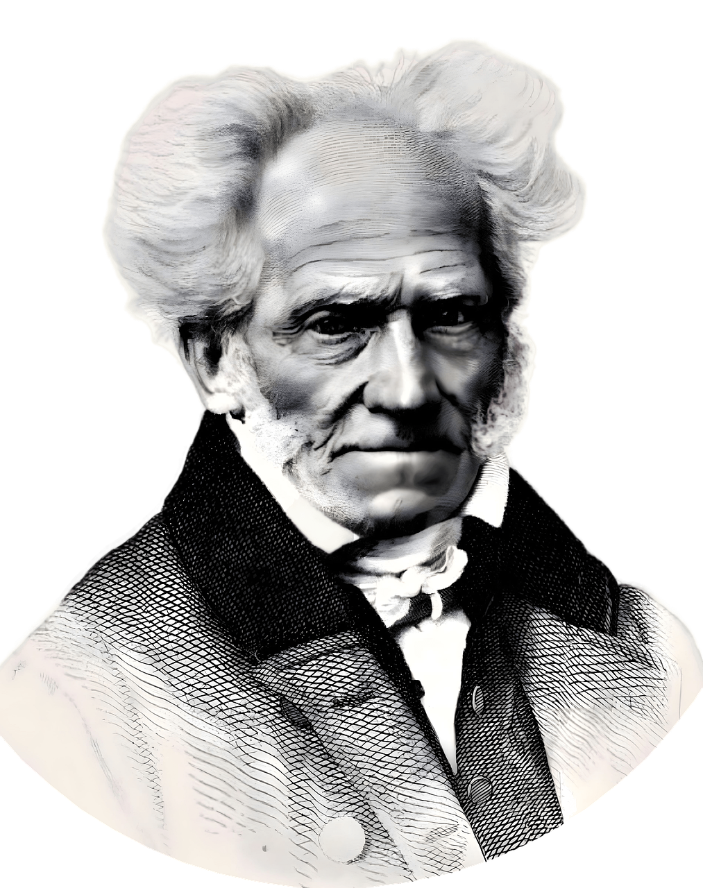 arthur schopenhauer, author, book-8070217.jpg