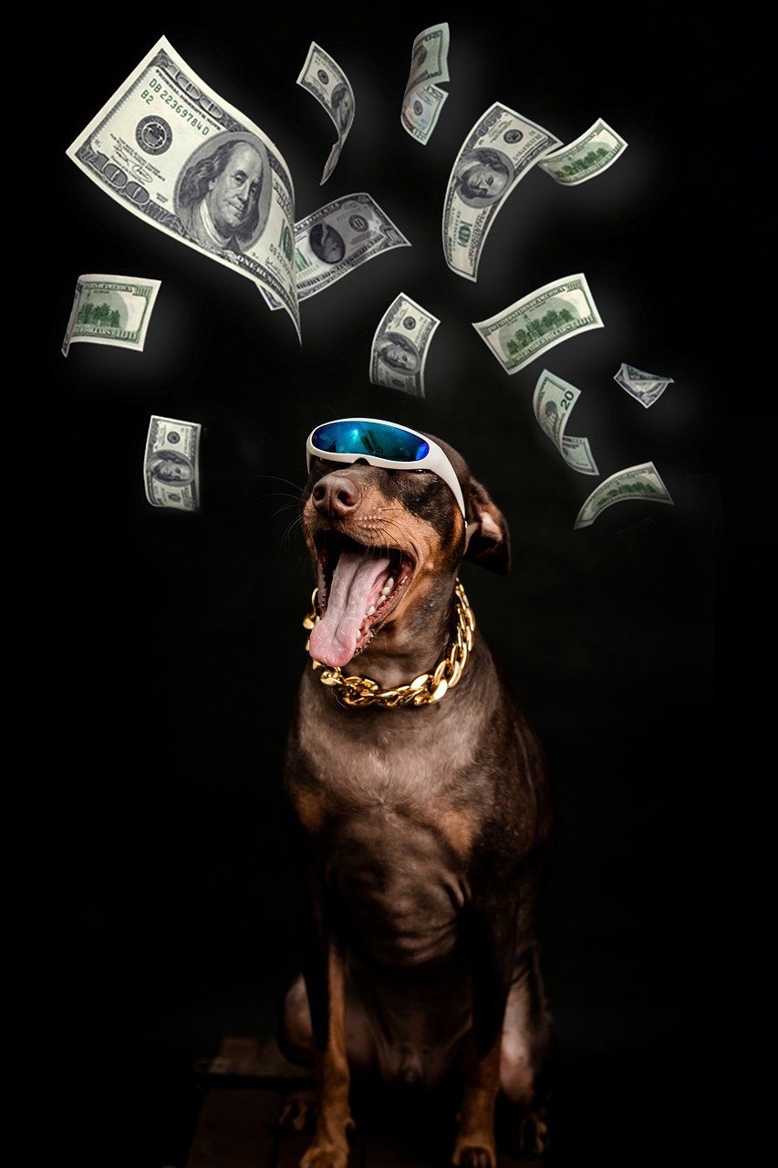 pinscher, dog, dollar-8213328.jpg
